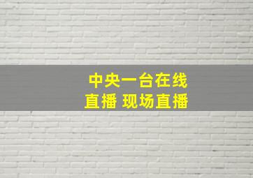 中央一台在线直播 现场直播